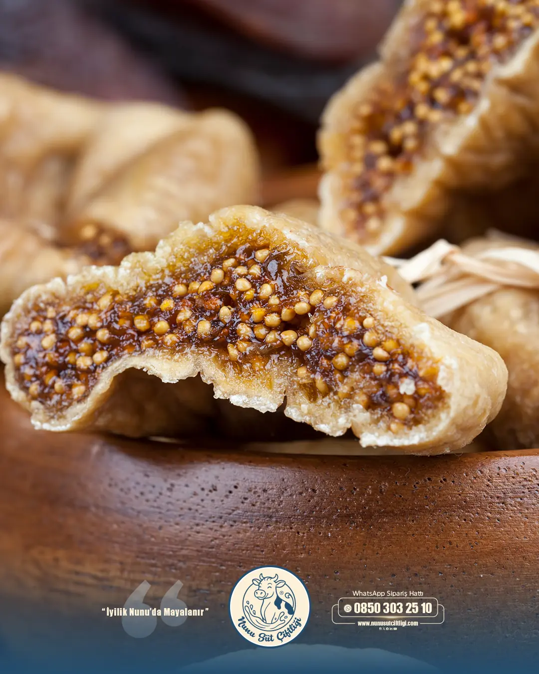 Dağ İnciri (1Kg)