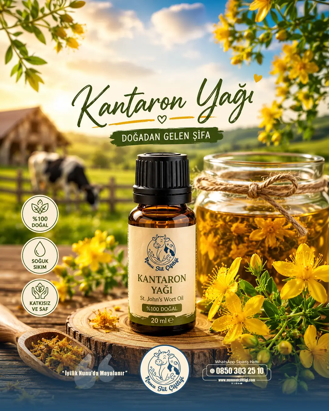 Sarı Kantaron Yağı - 20 ML