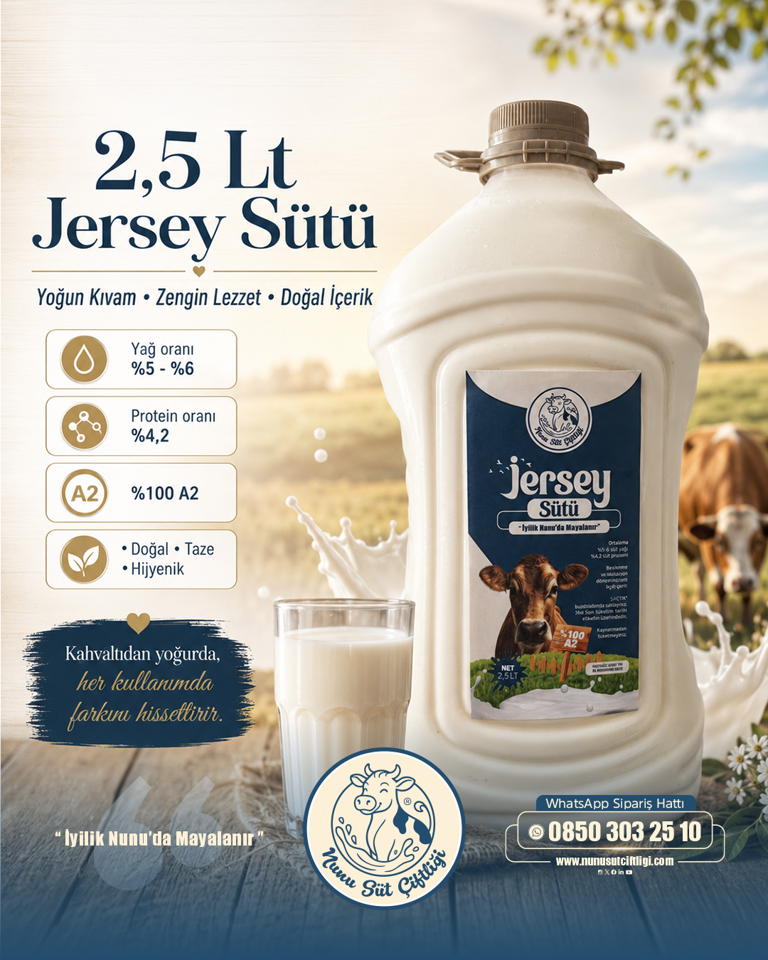 Jersey Süt